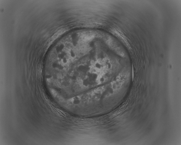 X0000087370483200705181220