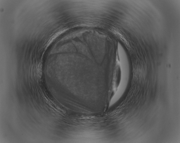 X0000087370484200705181220