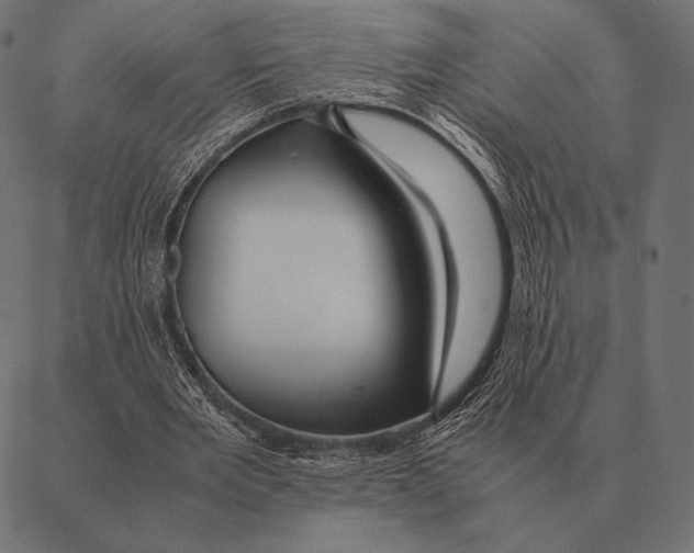 X0000087370485200705181220