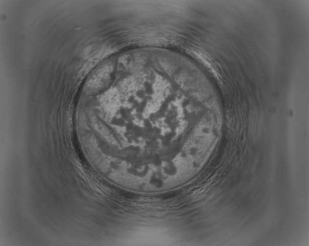 X0000087370487200705181220