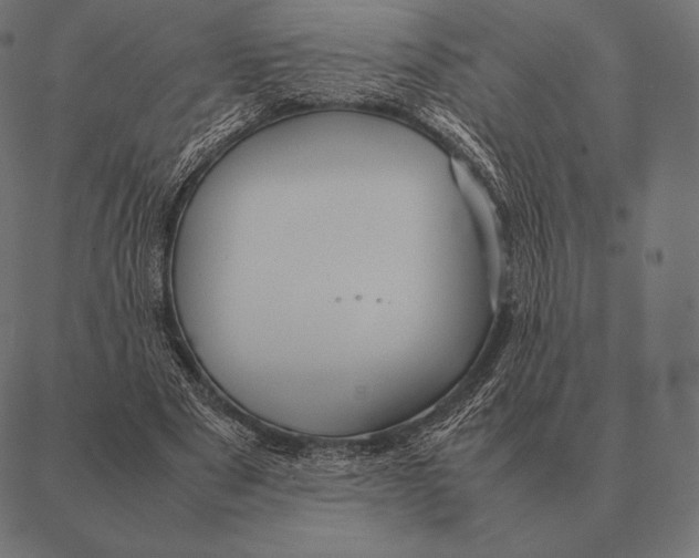 X0000087370489200705181220