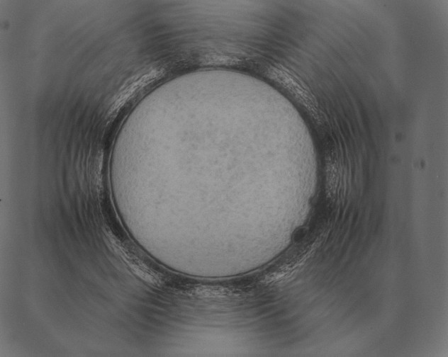 X0000087370490200705181220