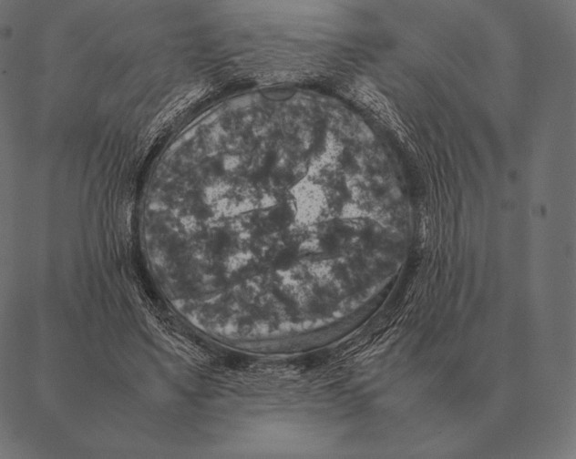 X0000087370491200705181220