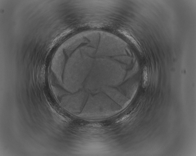 X0000087370492200705181220