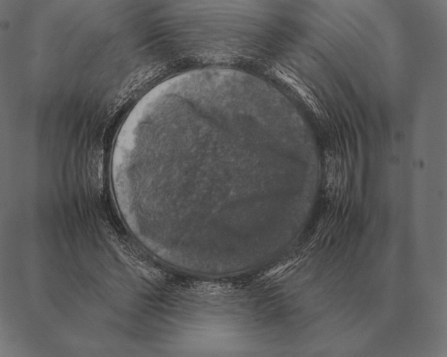 X0000087370494200705181220