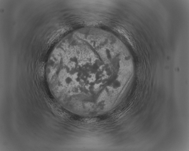 X0000087370495200705181220