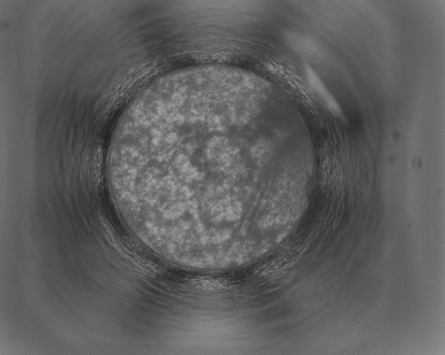 X0000087370498200705181220