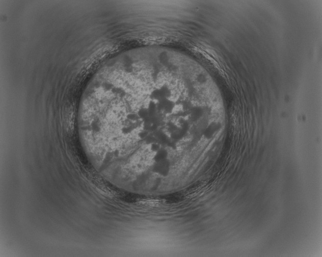 X0000087370499200705181220