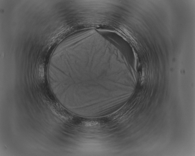 X0000087370500200705181220