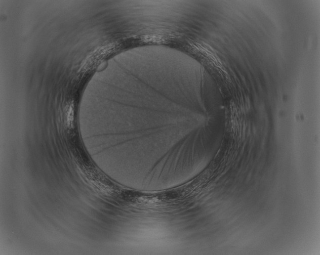 X0000087370502200705181220