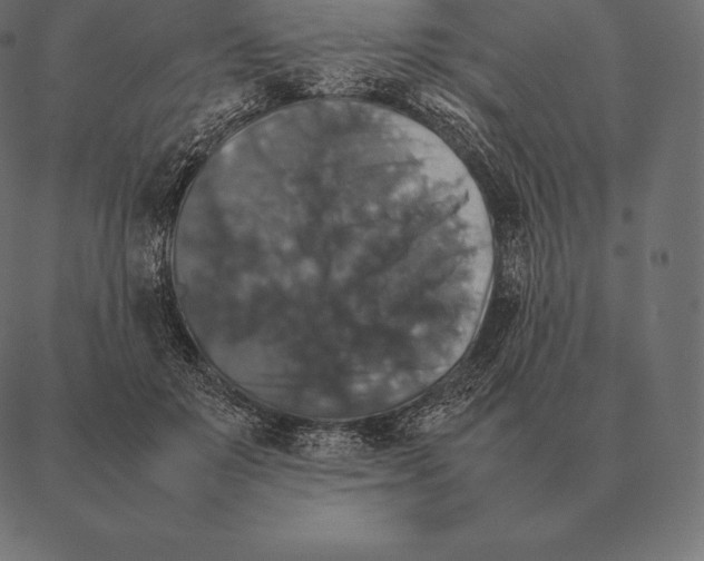 X0000087370503200705181220