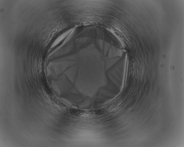 X0000087370504200705181220