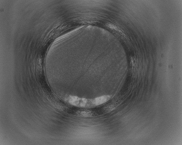 X0000087370506200705181220