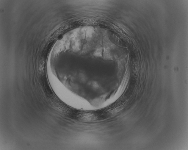 X0000087370507200705181220