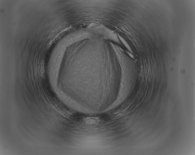 X0000087370508200705181220