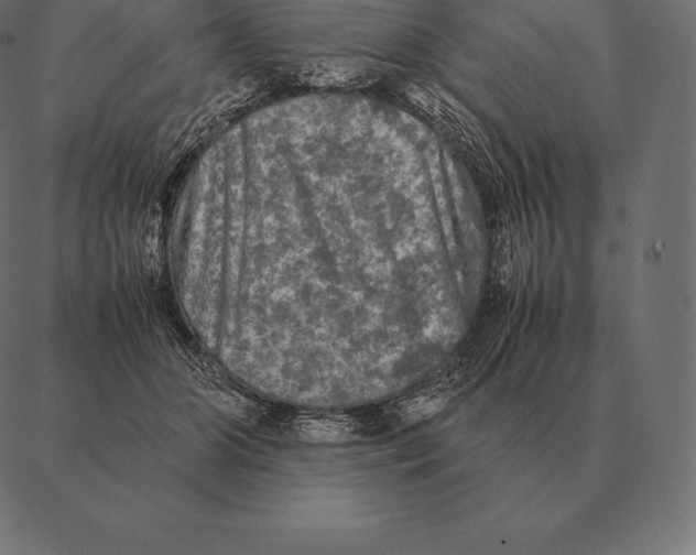 X0000087370510200705181220