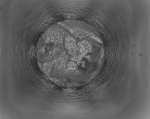 X0000087370511200705181220