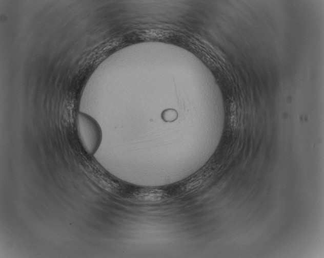 X0000087370514200705181220