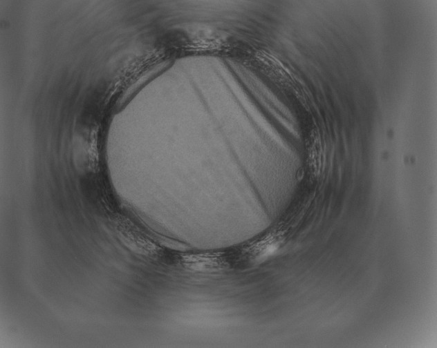 X0000087370516200705181220