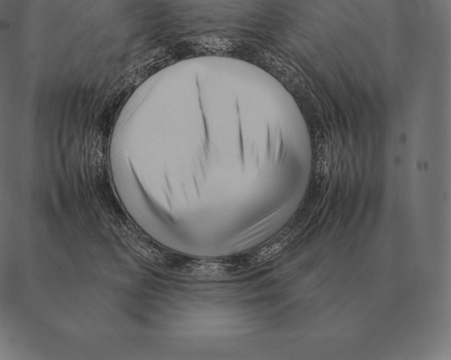 X0000087370518200705181220