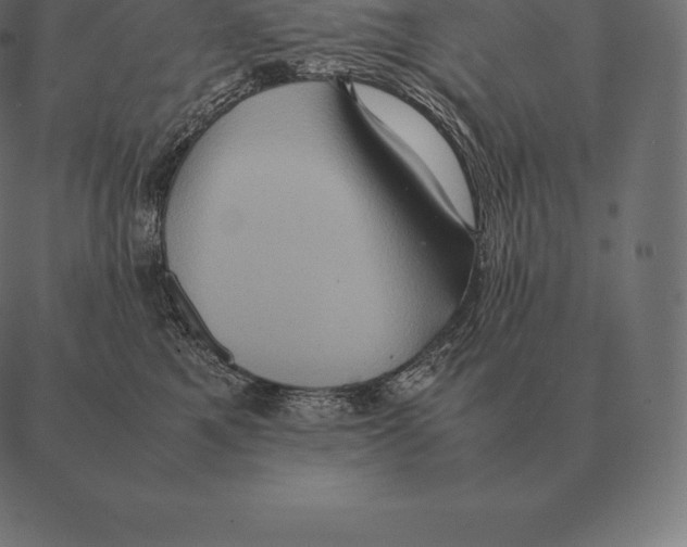 X0000087370521200705181220