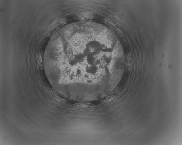 X0000087370523200705181220