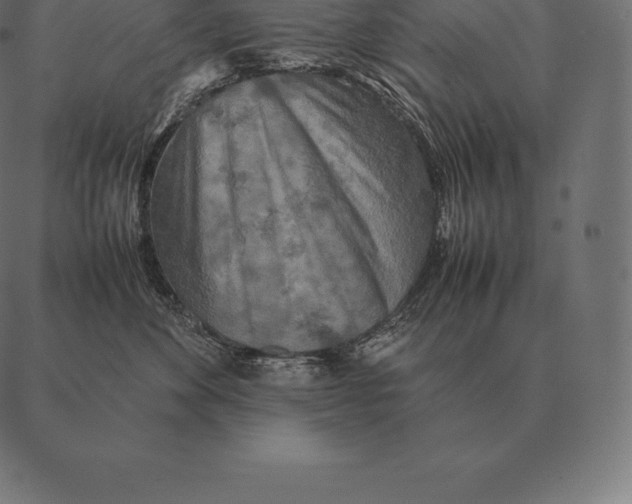 X0000087370524200705181220