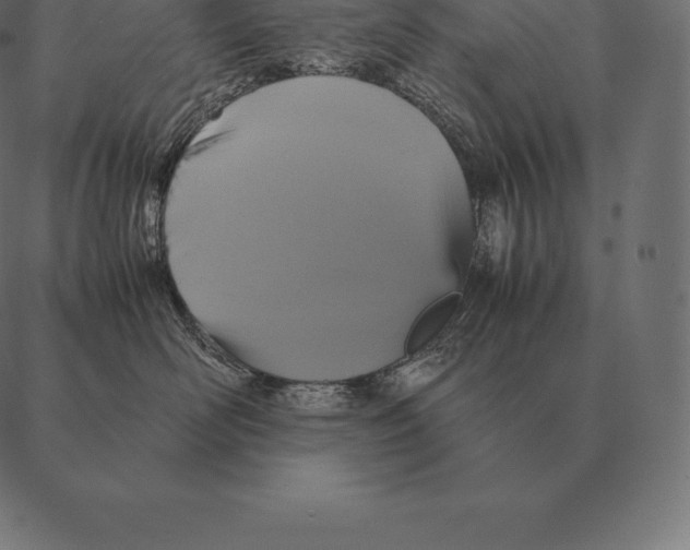 X0000087370526200705181220