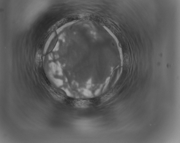 X0000087370527200705181220