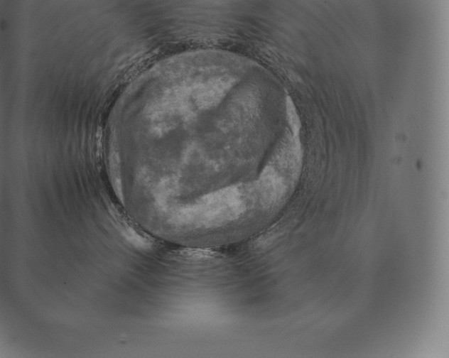 X0000087370528200705181220