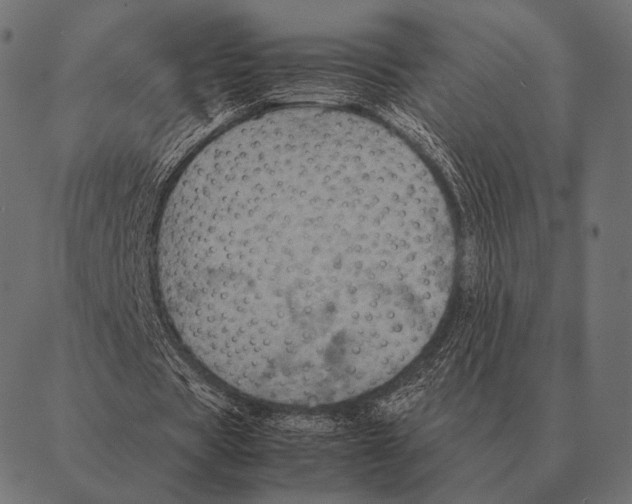 X0000087370529200705181219