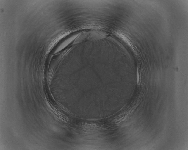 X0000087370531200705181219