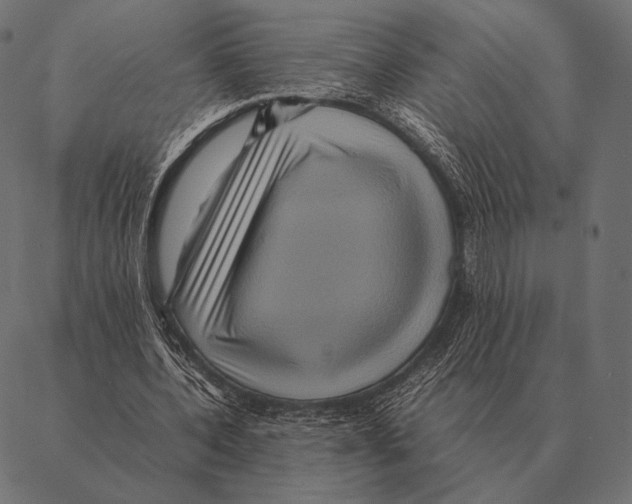 X0000087370532200705181219