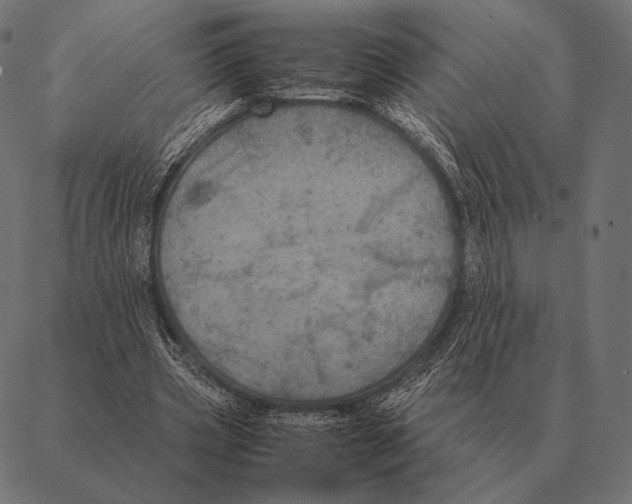 X0000087370533200705181219