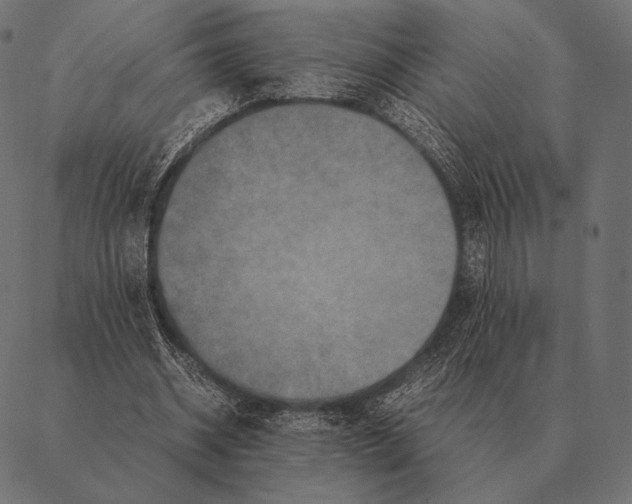 X0000087370534200705181219