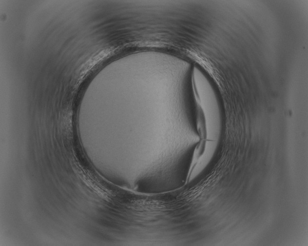 X0000087370535200705181219