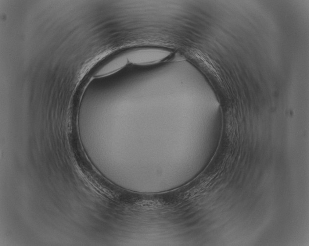 X0000087370536200705181219