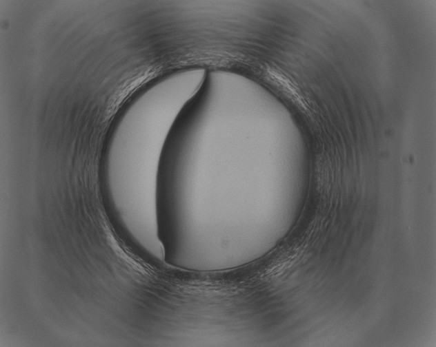 X0000087370538200705181219