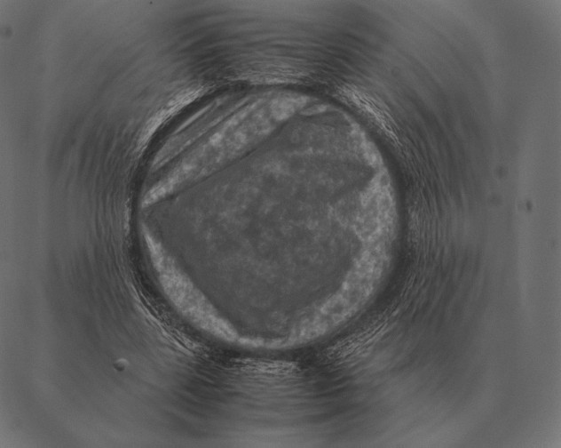 X0000087370539200705181219