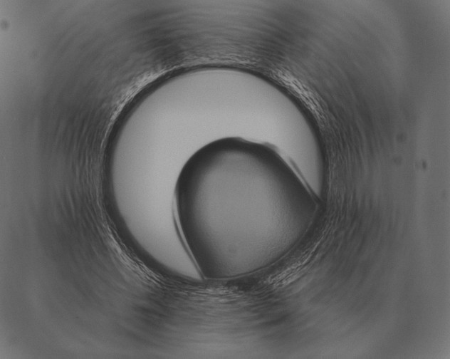 X0000087370540200705181219