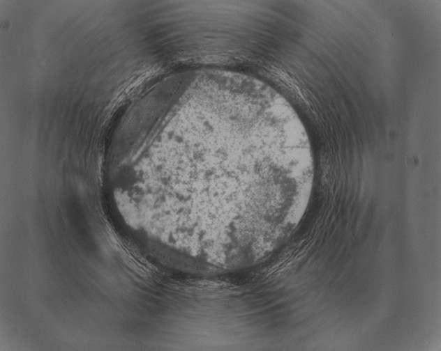 X0000087370542200705181219