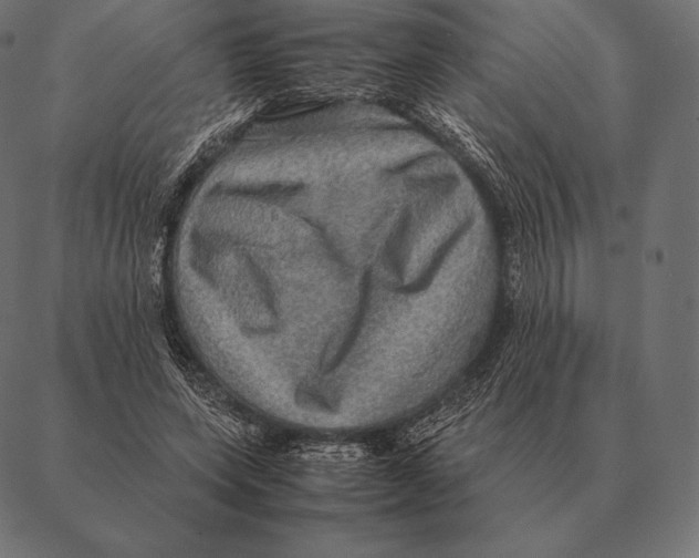 X0000087370543200705181219