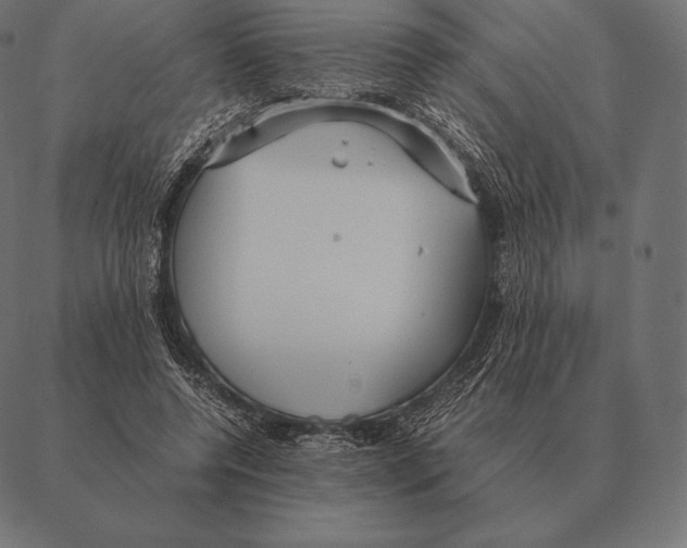 X0000087370544200705181219