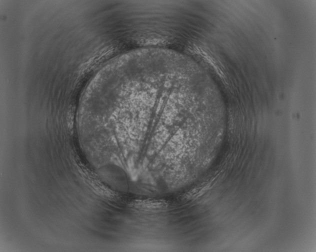 X0000087370545200705181219