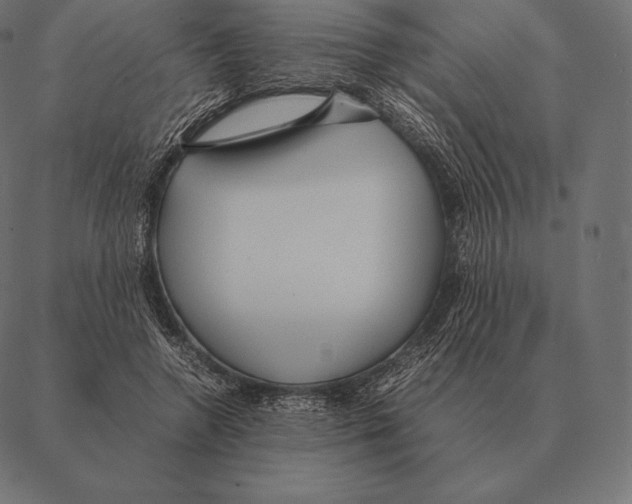 X0000087370546200705181219