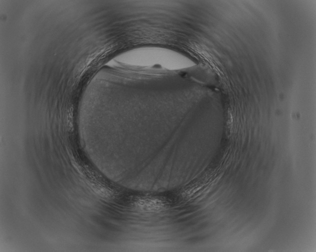 X0000087370547200705181219