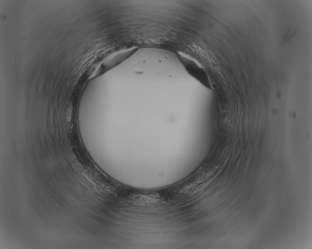 X0000087370548200705181219