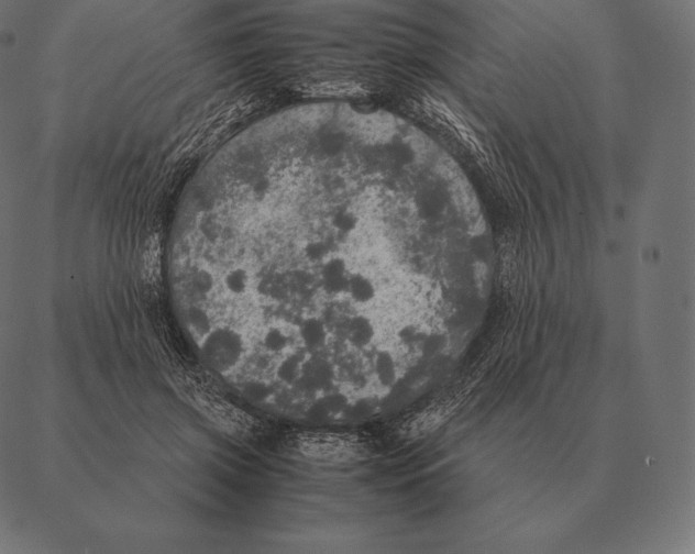 X0000087370549200705181219