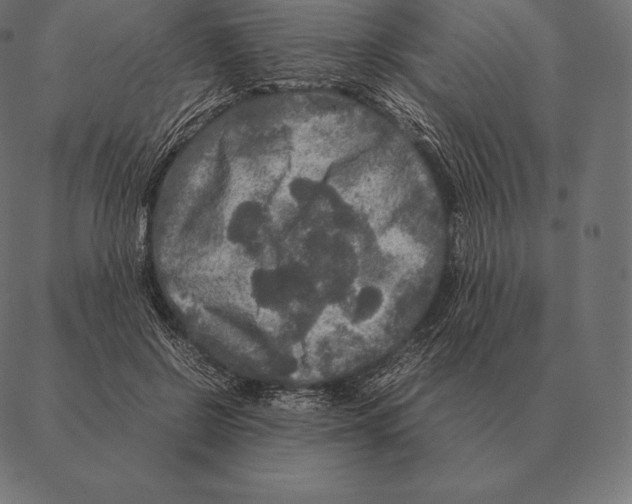 X0000087370550200705181219