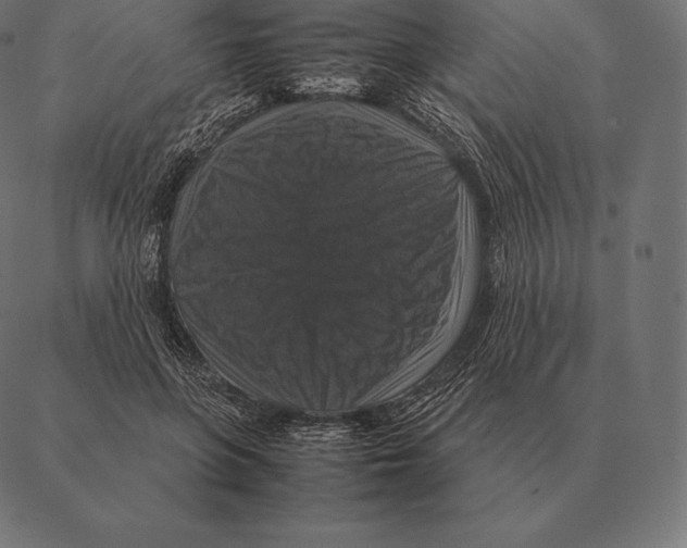 X0000087370551200705181219